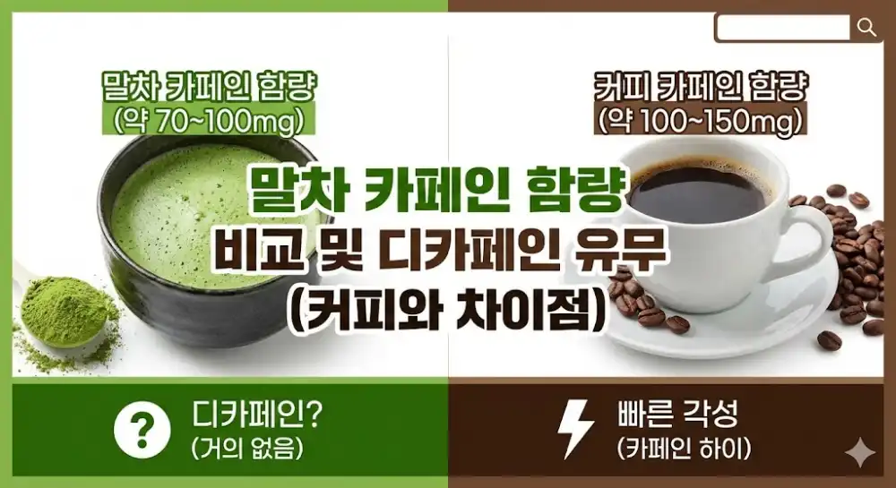말차 카페인 함량 비교 및 디카페인 유무