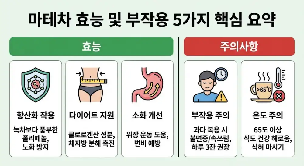 마테차 효능 및 부작용 5가지