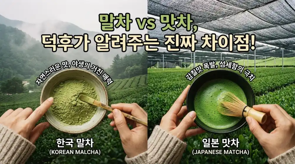 말차와 맛차의 차이점