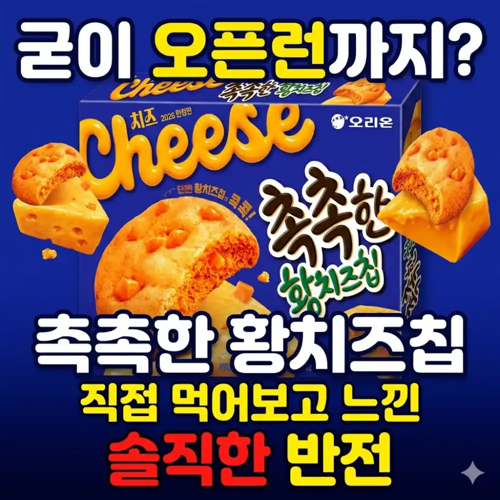 내돈내산 촉촉한 황치즈칩