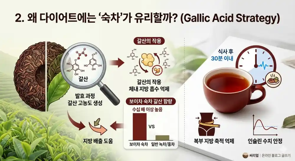 보이차가 다이어트에 도움이 되는 이유