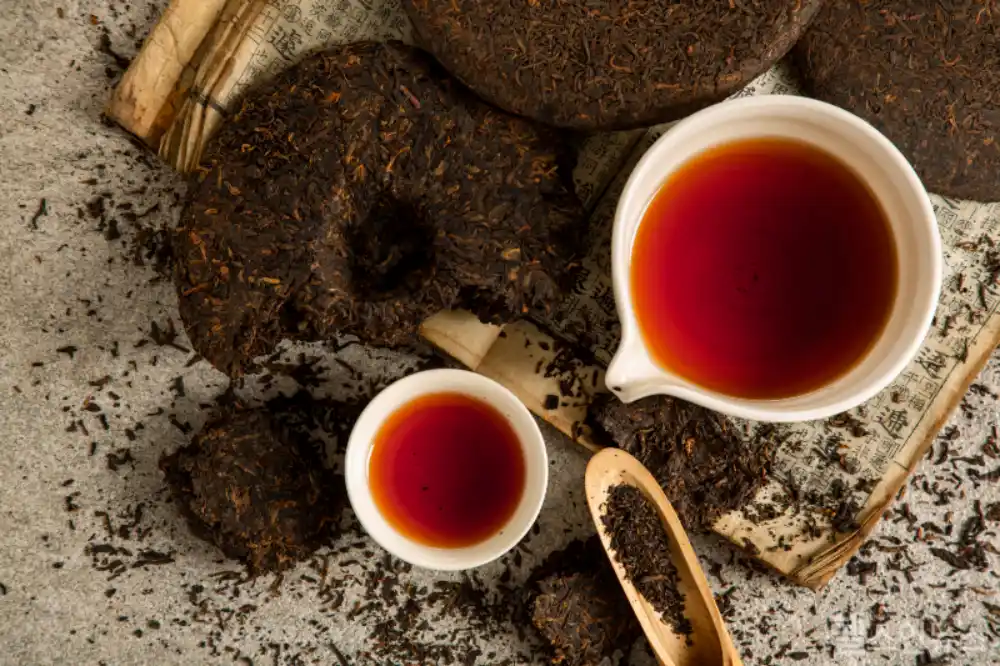 보이차 음용방법