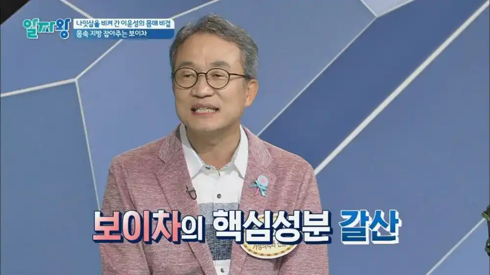 보이차 핵심성분 갈산