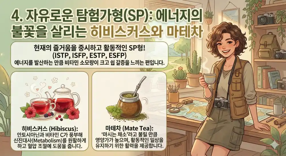 자유로운 탐험가형 히비스커스 마테차