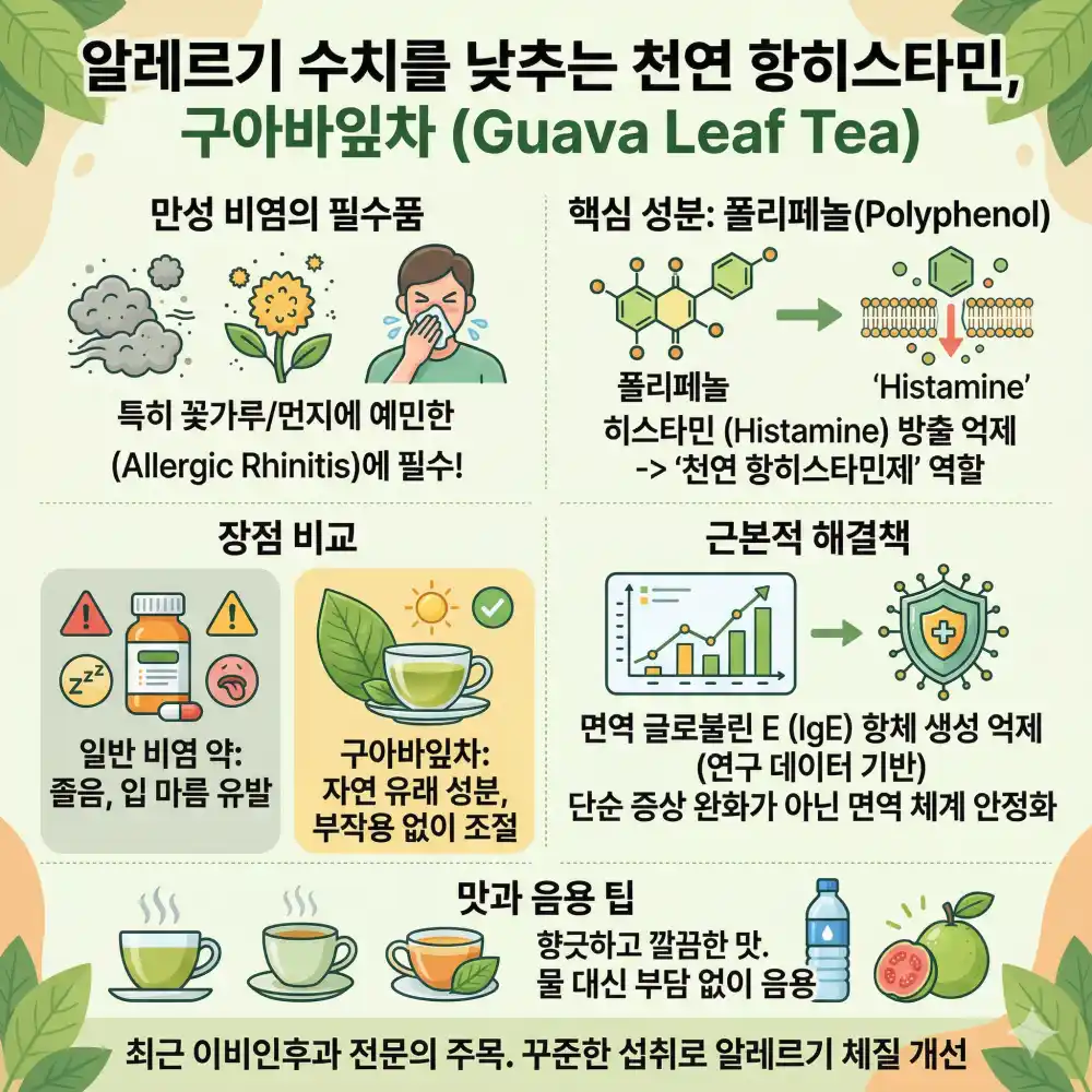 알레르기 수치 낮춰주는 구아바잎차